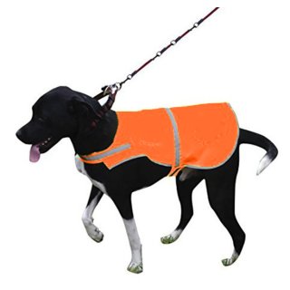 Größe: L Sicherheitsweste für Hunde reflektierende Jacke für Hunde Outdoor-Sportweste für Hunde Hundeweste Haustierkleidung mit hoher Sichtbarkeit 