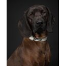 Leuchtendes Hunde-Halsband aus fluoreszierendem Material...